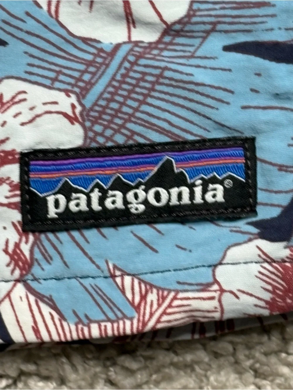 Patagonia Men's Swim Trunks
